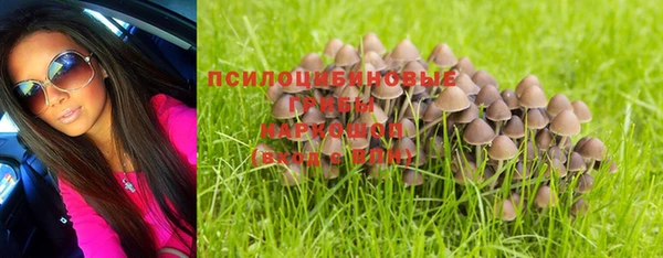 кристаллы Ладушкин